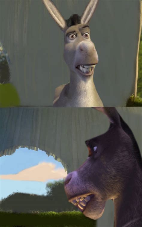 Donkey meme by Walking-With-Dragons on DeviantArt