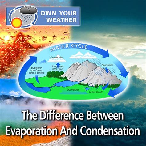 The Difference Between Evaporation And Condensation And Their ...