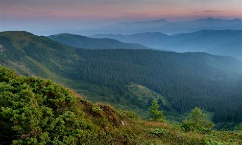 4K, Ukraine, Mountains, Forests, Carpathians, Zakarpattia, HD Wallpaper | Rare Gallery