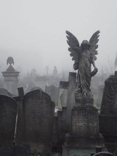 #aesthetic #cemetery #graveyard #angel Cemetery Angels, Cemetery Art ...