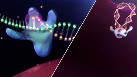 Dovato® (dolutegravir/lamivudine) Mechanism of Action in HIV-1 - YouTube