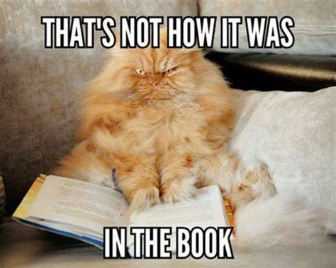 100 Hilarious Book Memes For People Who Love Reading