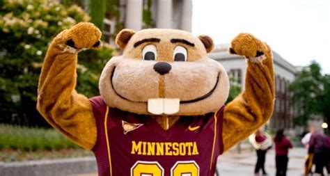 Golden Gopher Sports - University of Minnesota - Visit Lakeville Minnesota