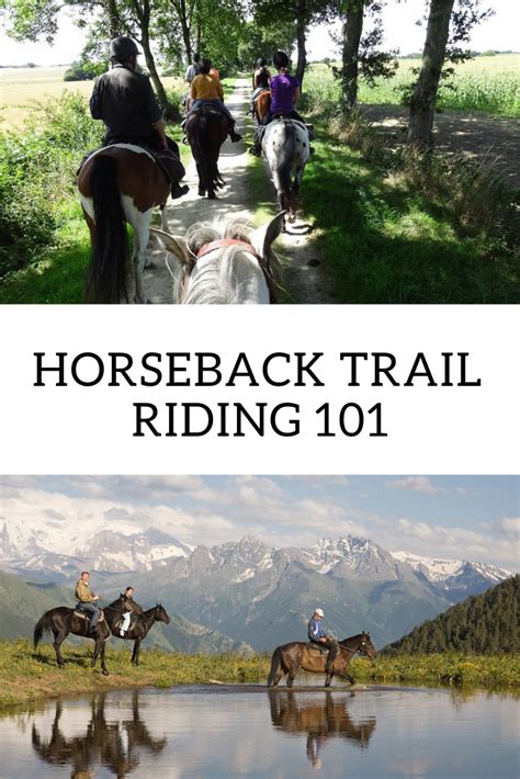 Horseback Trail Riding Guide | Trail riding, Trail riding horses, Horse ...