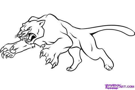 Panther Roar Drawing