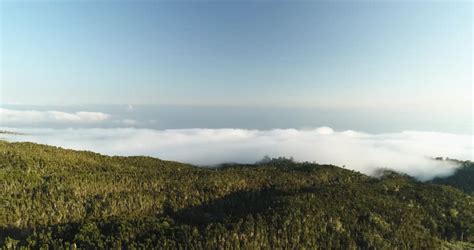 Mount Kilimanjaro above the clouds from Kenya image - Free stock photo - Public Domain photo ...