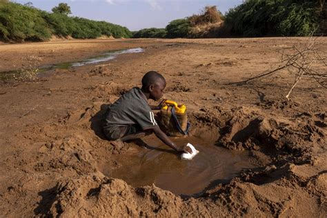 Țările din Africa cer ajutor! Seceta, criza alimentară și schimbările climatice le distrug ...