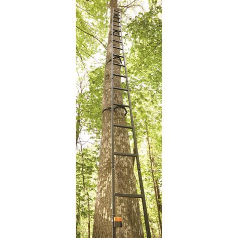 Guide Gear 20' Tree Ladder | Ladder, Tree, Nature preserve