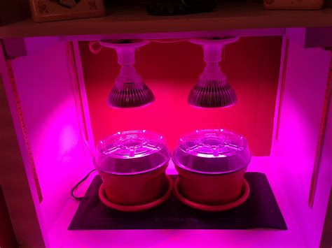 DIY Grow Lights - FlyTrapCare Forums