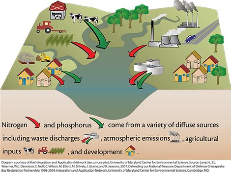 Nutrient Pollution