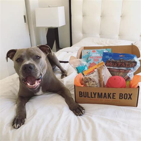 Loving their Bullymake Box! Designed for Power Chewers. http://bullymake.com/?utm_source ...