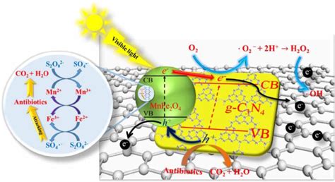 | Mechanism for antibiotics photodegradation in the C 3 N 4 @MnFe 2 O 4... | Download Scientific ...