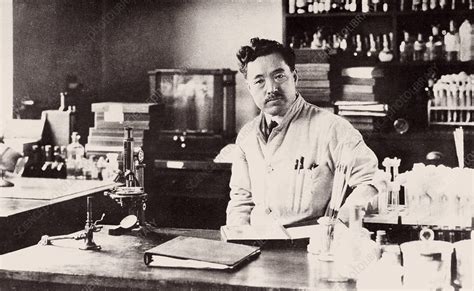 Hideyo Noguchi, Japanese bacteriologist - Stock Image - C021/1646 - Science Photo Library