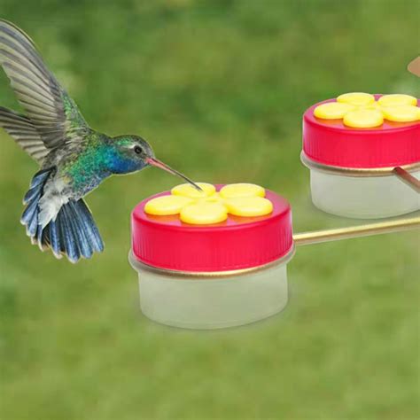 T0# Hummingbird Feeder Bird Food Box Hummingbird Bird Feeder for Outdoors Hangin | eBay
