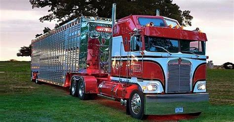 BUCKSHOT EXPRESS Heavy Duty Trucks, Big Rig Trucks, Semi Trucks ...