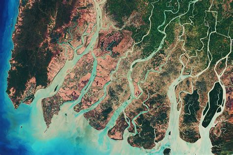 What Is A River Delta? - WorldAtlas