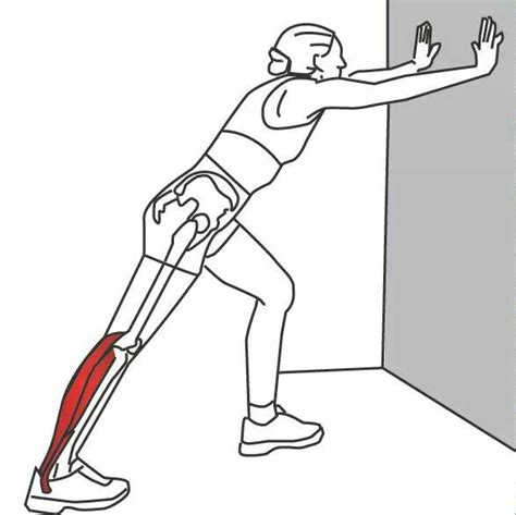 Calf stretch | Muscle stretches, Calf stretches, Gastrocnemius muscle