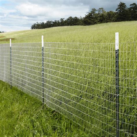 5 - 8 Feet Silver Agri Fencing, Rs 300 /meter IbexKayenn Private Limited | ID: 4627231230