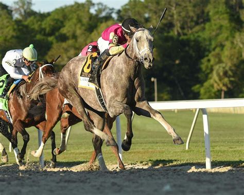 Kentucky Derby pedigree profile: Tapit Trice | TwinSpires