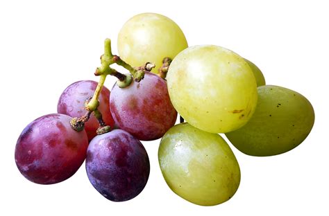 Red and Green Grapes PNG Image - PurePNG | Free transparent CC0 PNG Image Library