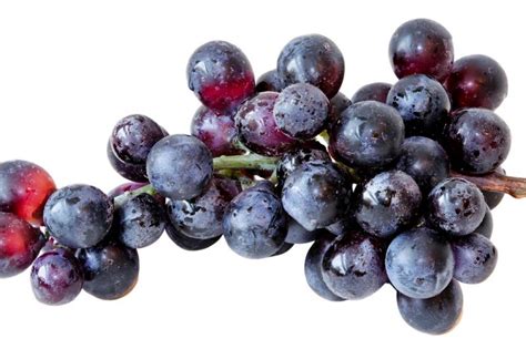 4P Foods :: Black Muscadine Grapes