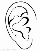 Ear Throat Nose Coloring Sheets sketch template