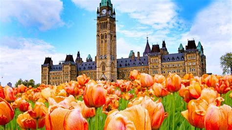 Ottawa, Canada's capitol's annual Tulip festival is back. if you are interested in a tour where ...