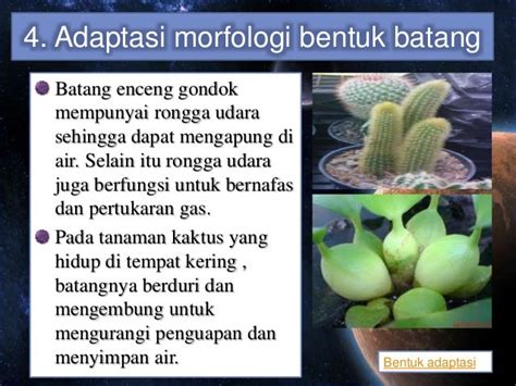 Bentuk Adaptasi Morfologi Hewan Yang Hidup Di Air - Berbagi Bentuk Penting