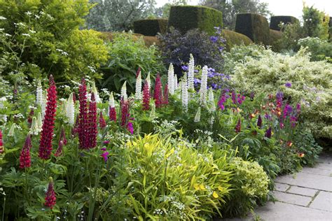 Garden borders: 25 ideas for the perfect planting scheme | Real Homes