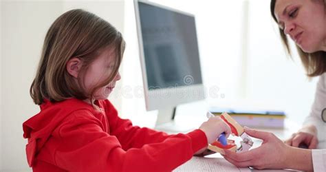 Girl Patient Learns Correct Brushing Teeth Technique on Jaw Stock ...