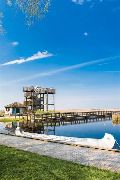 Point Pelee National Park gets $4.2m for improvements | blooloop