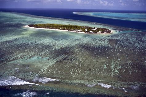 The Migrating Sea Turtles of Heron Island