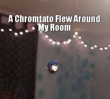 A Potato Flew Around My Room Meme - I Kawaii Potato Flew My Room Around A Kawaii Potato A Potato ...