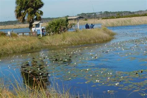 St. Marks National Wildlife Refuge in Florida | Wander With Wonder