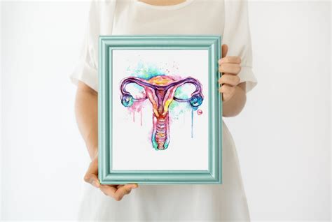 Uterus Art Gynecology Nurse Gift Anatomy Art Medical Art - Etsy Canada