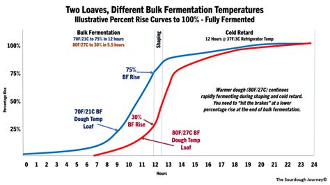 The Mystery of Percentage Rise in Bulk Fermentation | The Sourdough Journey