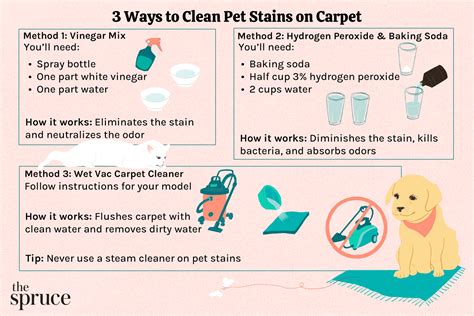 How to Clean Pet Stains From Carpet