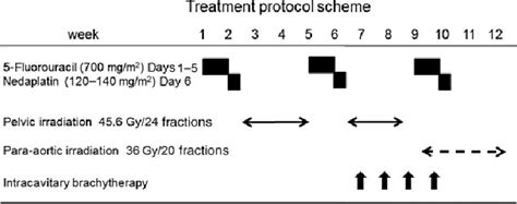 Treatment protocol scheme. 5-FU, 5-fluorouracil; RT, radiotherapy ...