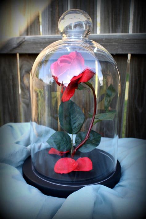 Enchanted Rose Dome Life Size Prop Replica - Etsy