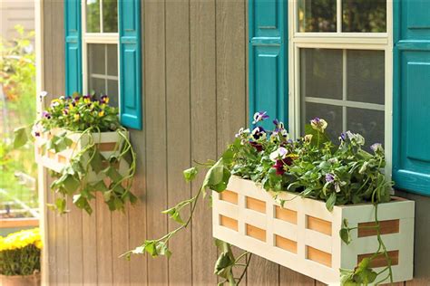 10 Window Box Ideas for Your Home