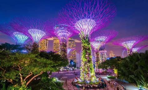 Singapore Supertrees and Skywalk in Gardens by the bay - Wayfarer