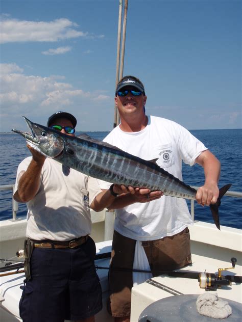 It Pays to Check Your Bait - Bar Jack Fishing