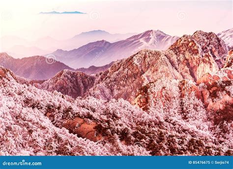 Winter Sunrise Landscape in Huangshan National Park. Stock Image - Image of landscape, east ...