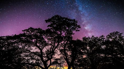 stars, Trees, Galaxy Wallpapers HD / Desktop and Mobile Backgrounds