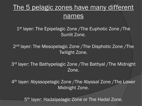 PPT - The Abyssal Zone PowerPoint Presentation, free download - ID:2131216