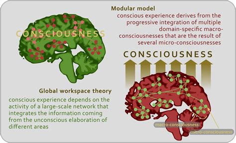 How is consciousness formed