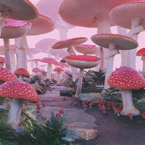 Steviana on Instagram: “Dreamy 😍 Credit unknown #mushrooms # ...