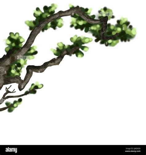 Watercolor tree branch. Illustration of a tree branch with green ...