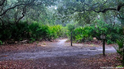 Cumberland Island National Seashore | PARALLEL TRAIL TO STAFFORD BEACH