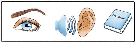 Sensory Memory (Definition + Examples) - Practical Psychology